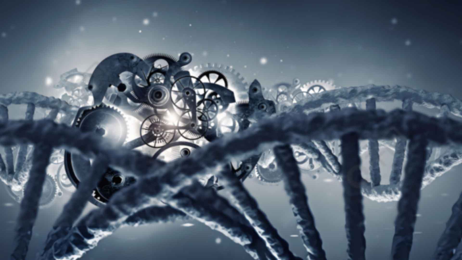 天津津南区升学亲子鉴定需要带身份证到现场吗
